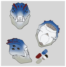 Claximus Mask Prop Claximus Mask Prop