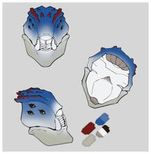 Claximus Mask Prop