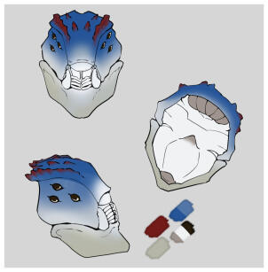 Claximus Mask Prop Claximus Mask Prop